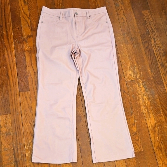 American Eagle Outfitters Pants - NWT American Eagle Outfitters Women's Faux Leather Pants, Size 14